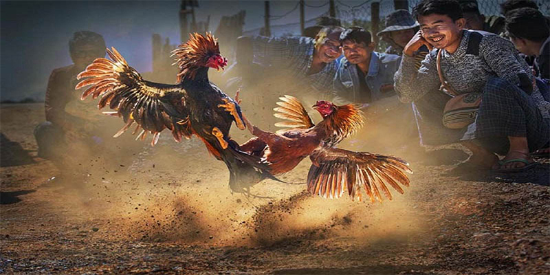 vin7773 đăng nhập roulette số 1