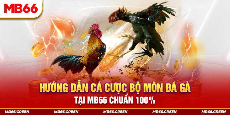 vin7773 xổ số bình định