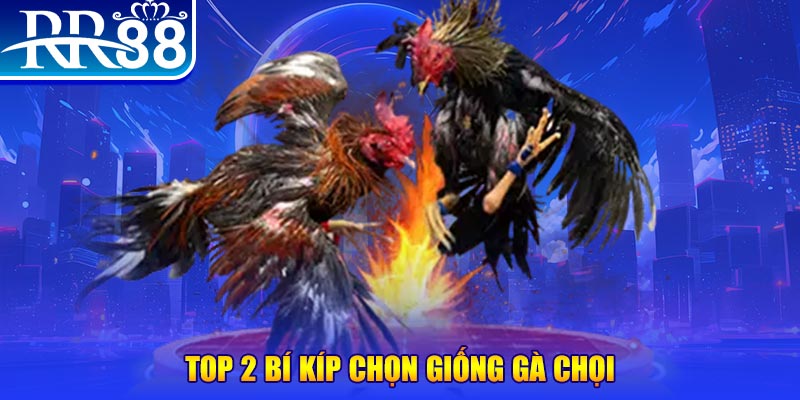 vin7773 đăng nhập poker số 1