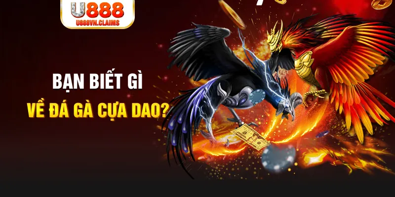 vin7773 xổ số kiến thiết