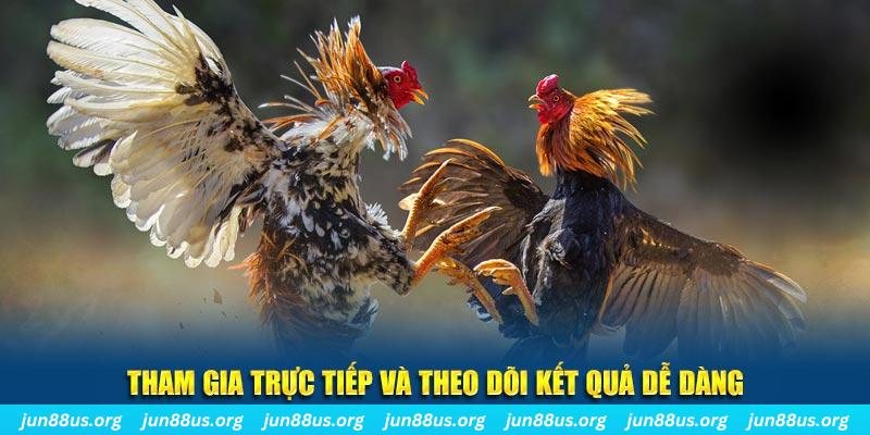 vin7773 đá gà trực tiếp bình luận viên