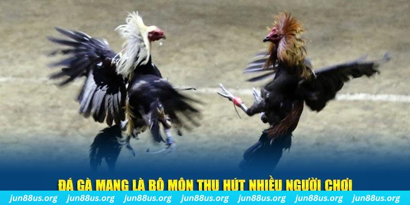 vin7773 xổ số cà mau
