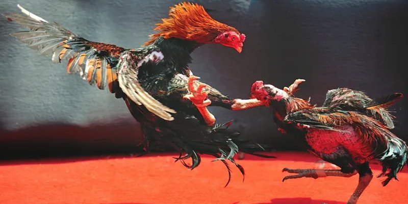 vin7773 BG Bắn cá