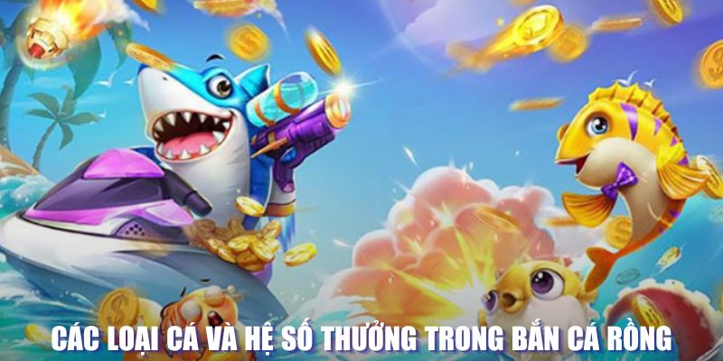 vin7773 loi game dot kich ket noi may chu that bai
