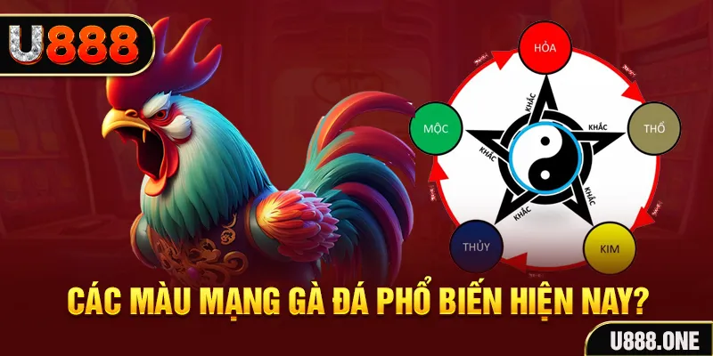 vin7773 đăng nhập mậu binh