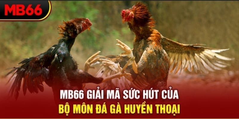 vin7773 Phi Đội Ưu Tú