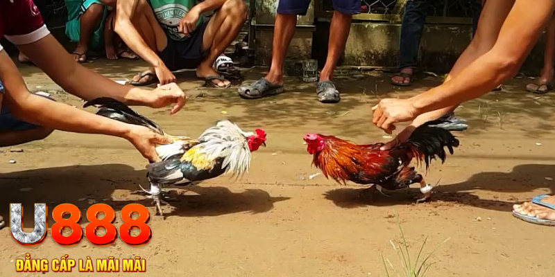 vin7773 đăng nhập mậu binh rút tiền nhanh