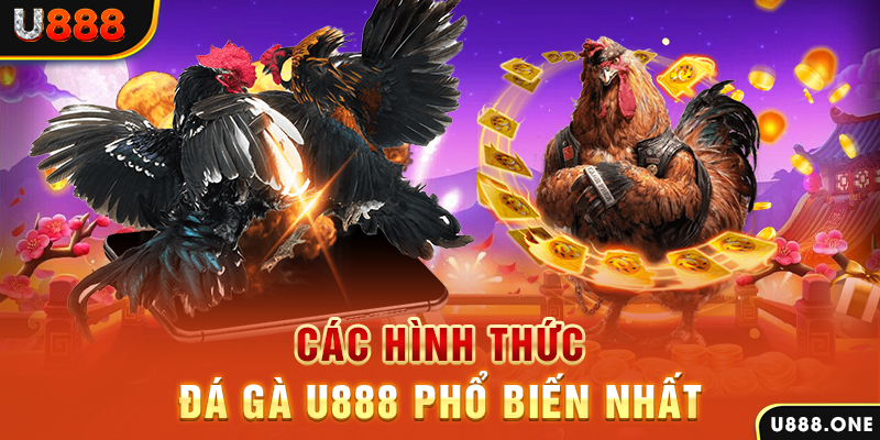 vin7773 DB Trực Tuyến