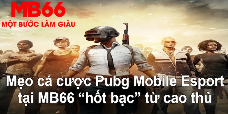 vin7773 gà chọi mộc hóa